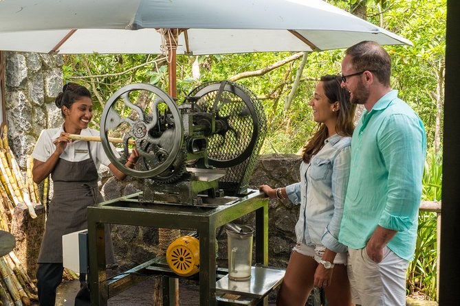 Entrance Ticket for Chamarel 7 Coloured Earth Geopark - Overview of Chamarel 7 Coloured Earth Geopark