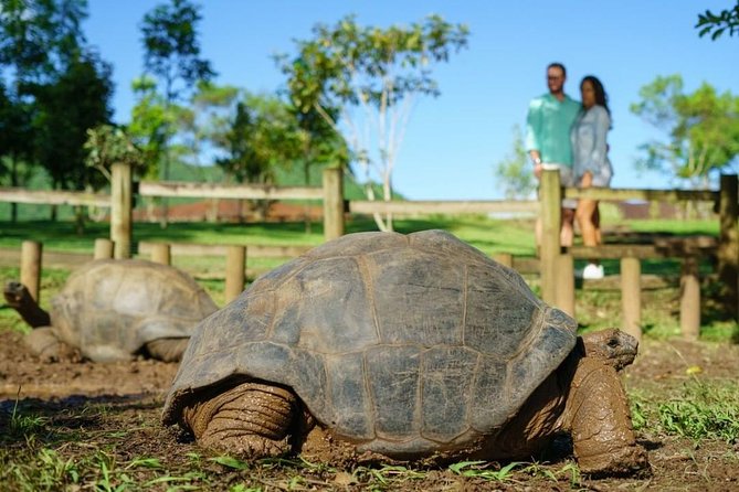Entrance Ticket for Chamarel 7 Coloured Earth Geopark - Dining and Refreshment Options