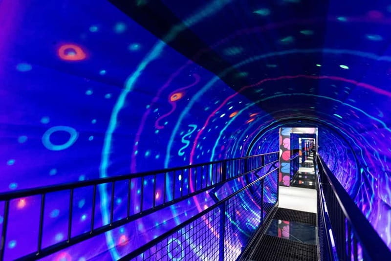 Entry ticket to the Museum of Senses in Milan - A Hands-On Journey Through the Senses in Milan