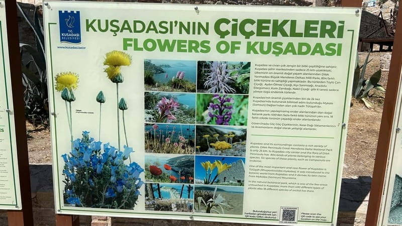 Ephesus tours wholesalerShopTours from cruise port Kusadasi - The Sum Up