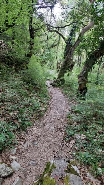Epirus: Zagori Rafting Tour with viewpoints,lunch and photos - Logistics and Practical Details