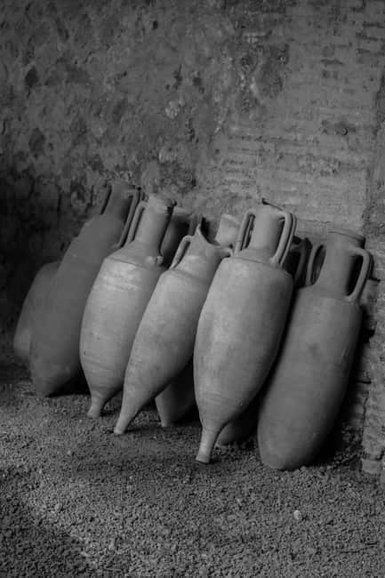 ERCOLANO: ENTRANCE TICKET - SKIP THE LINE WITH OPTIONAL TRANSFER - Key Points / Takeaways