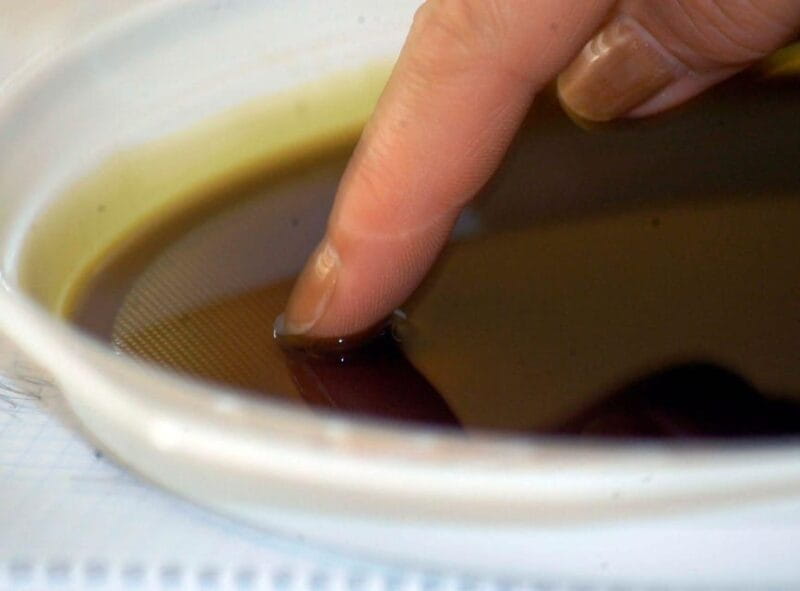 Ercolano vineyards, view cellar wine tasting and brunch - FAQ: Practical Questions Answered