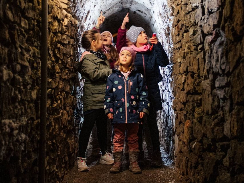 Erfurt: Guided Tour Through the Petersberg Citadel - Booking and Pricing Information