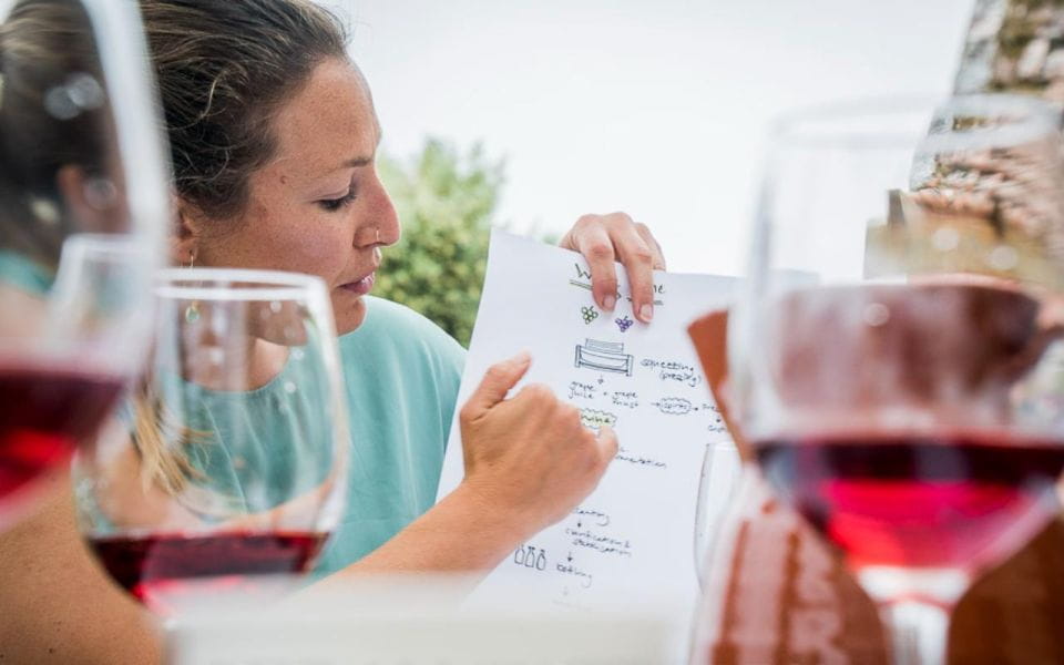 Ericeira: Portuguese Wine Tasting - Accessibility and Suitability