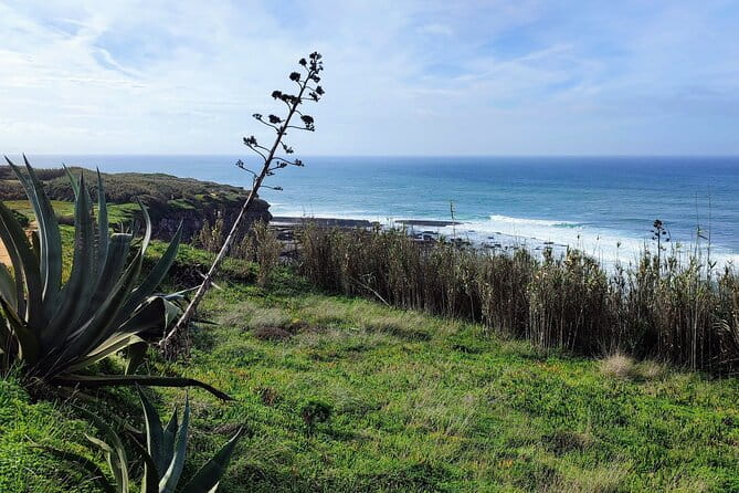 Ericeira Private Tour: 10 Tastings Food Tour - FAQs