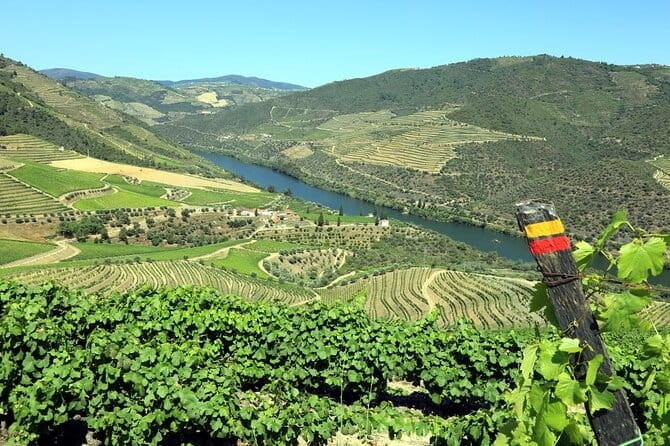 Ervedosa do Douro Walking Tour - Ervedosa do Douro Walking Tour: A Taste of Portugal’s Vineyards and Scenic Beauty
