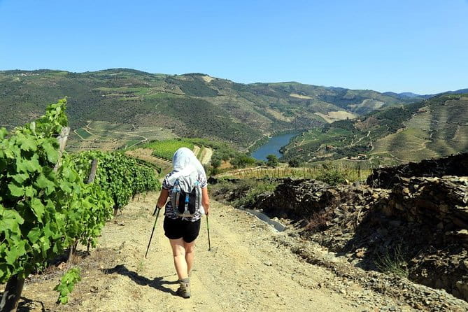 Ervedosa do Douro Walking Tour - Key points / Takeaways