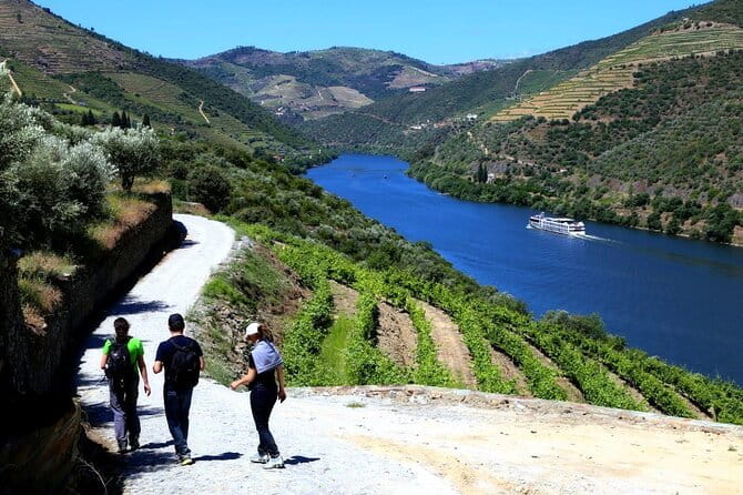 Ervedosa do Douro Walking Tour - The Experience of a Private, Guided Tour