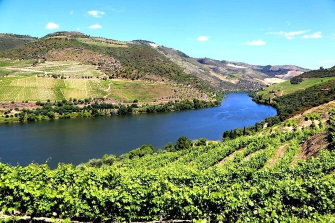 Ervedosa do Douro Walking Tour - Who is This Tour Perfect For?
