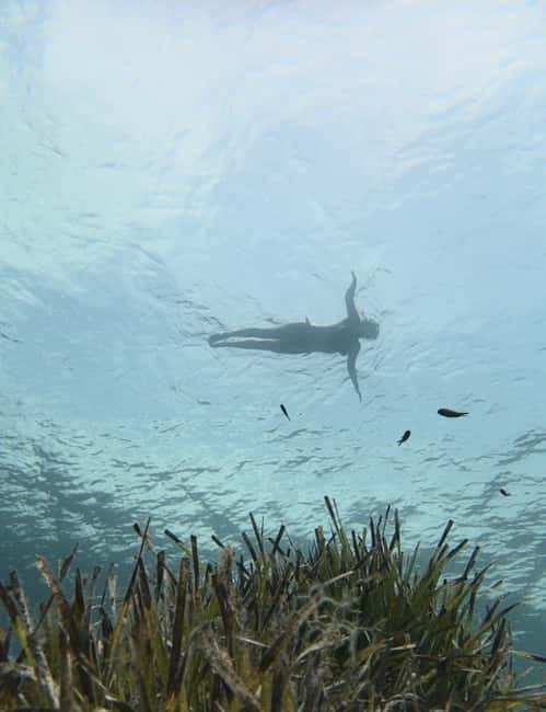 Es Grau:Private Snorkeling Experience with Picnic and Drinks - FAQ