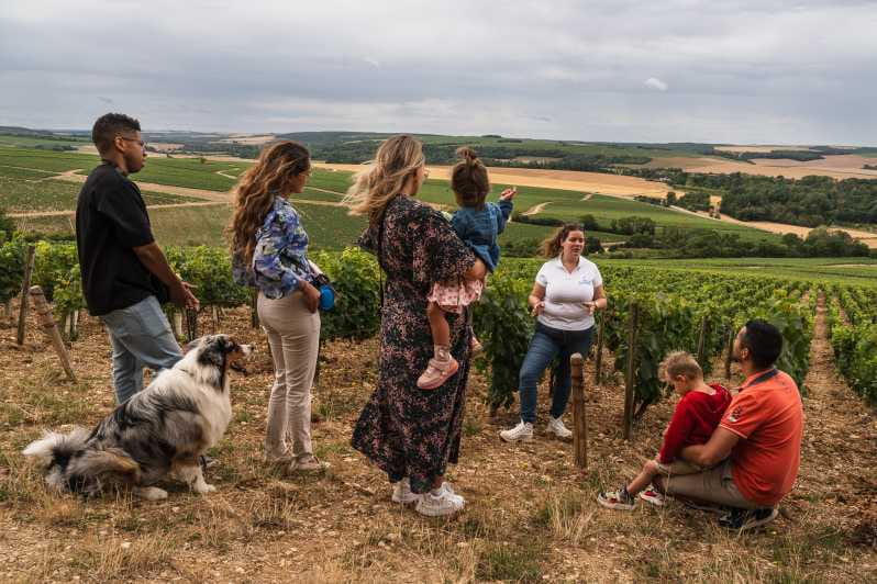 Escapade and tasting in the Chablis vineyards - A Taste of Burgundy: Exploring Chablis Vineyards with a Guided Tasting