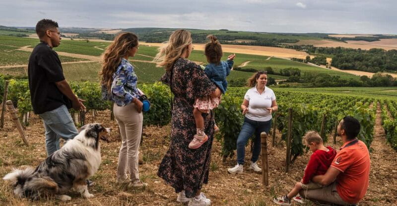 Escapade and tasting in the Chablis vineyards - Tasting in the Vineyards: Sipping and Snacking Amidst the Vines