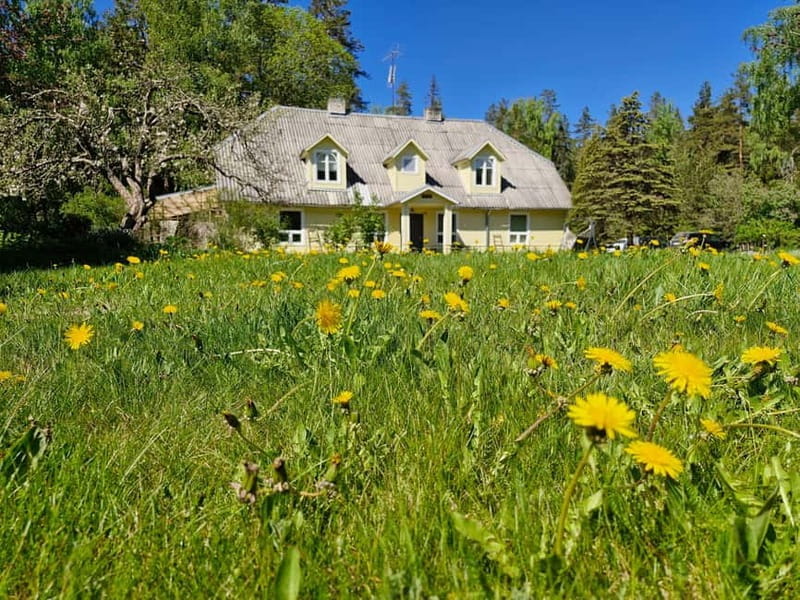 Escape from Tallinn Hike, Swim, Forage & Cuddle Sled Dogs - The Sum Up