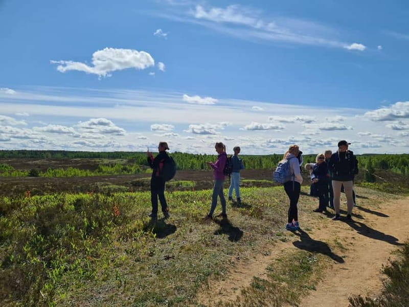 Escape from Tallinn Hike, Swim, Forage & Cuddle Sled Dogs - FAQ