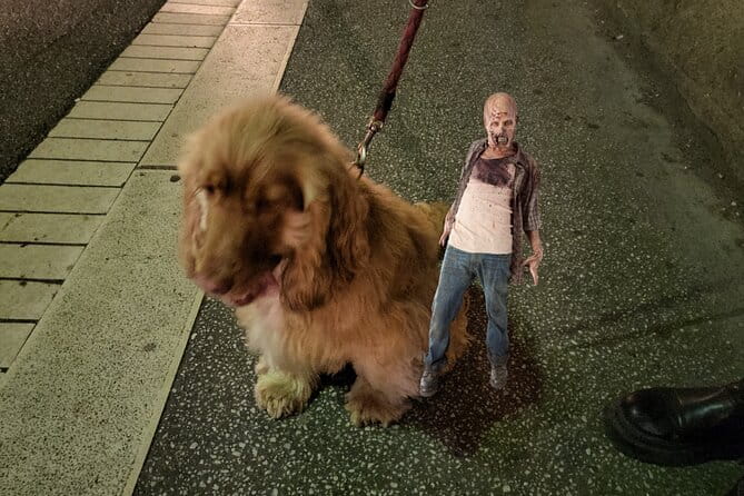 Escape Game outdoor The Walking Dead in Lyon - Who Should Consider This?