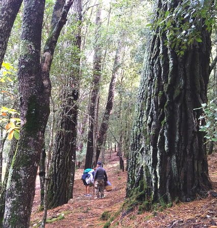 Escape into Sardinia - Key Points / Takeaways