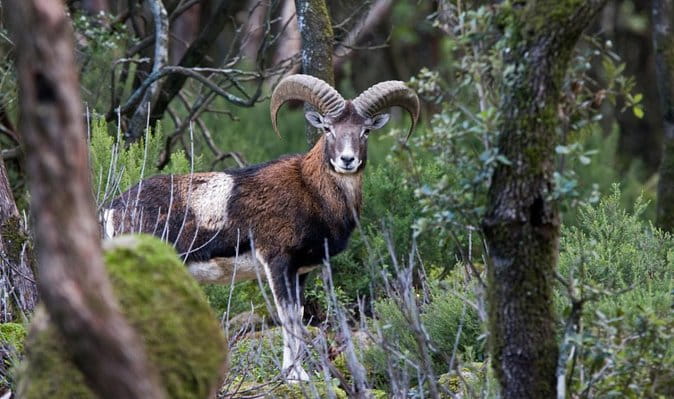 Escape into Sardinia - Price and Logistics: A Good Deal