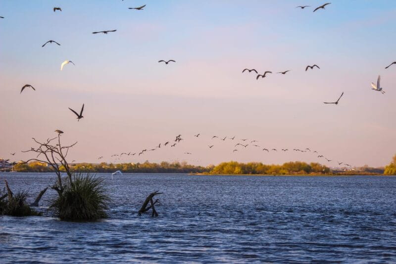 Escaroupim: 1 hour boat trip, guided tour - Final Thoughts: Why You Should Consider This Trip