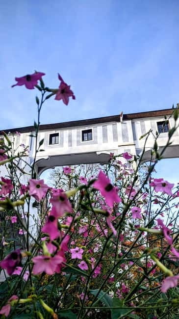 eský Krumlov: Private Day Trip from Prague with Local Guide - Who will love this tour?