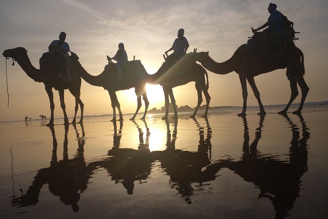 Essaouira: 3-Hour Camel Tour - Tour Duration