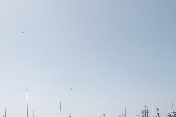 Essaouira Day Trip Shared Group - Transportation and Accessibility