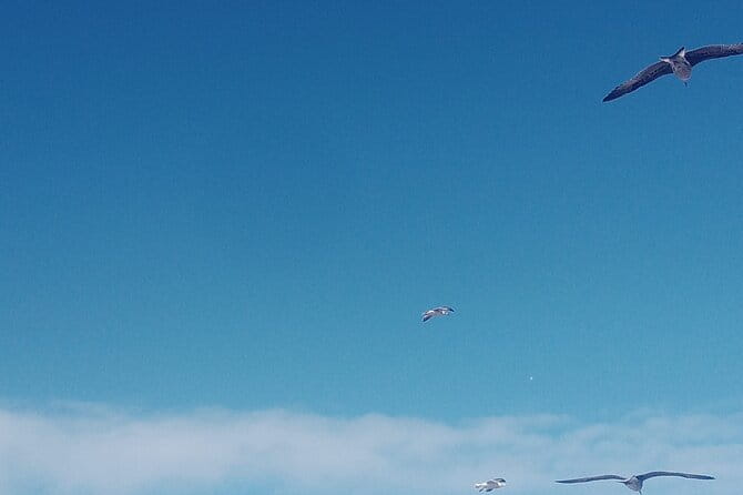 Essaouira Day Trip Shared Group - Confirmation and Booking Process