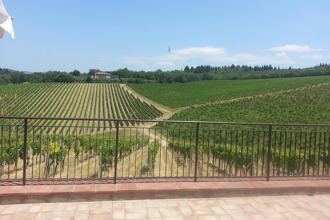 Essence of Chianti Small Group Tour With Lunch and Tastings From Florence - Tour Exclusions