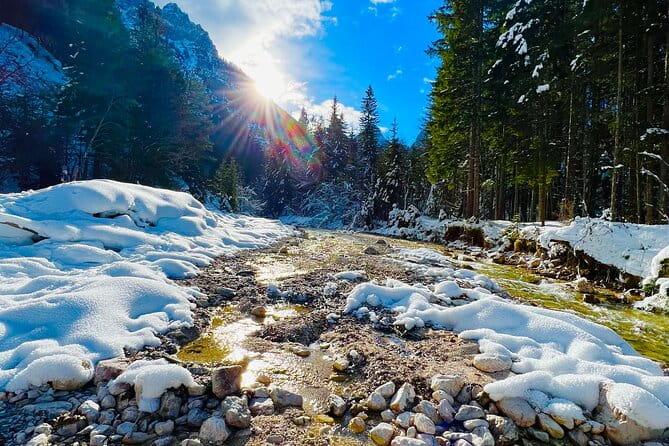 Essence of Slovenia Private Photoshoot Experience - Exploring Slovenia Through the Lens: A Detailed Look at the Photoshoot Experience