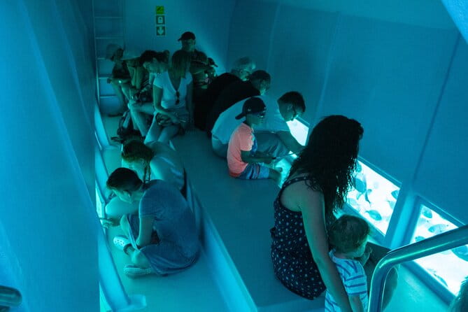 Estartit (1h 30m STOP) & Medes Islands - Super Underwater Vision - Who is this tour best for?