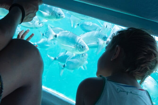 Estartit (1h 30m STOP) & Medes Islands - Super Underwater Vision - FAQ