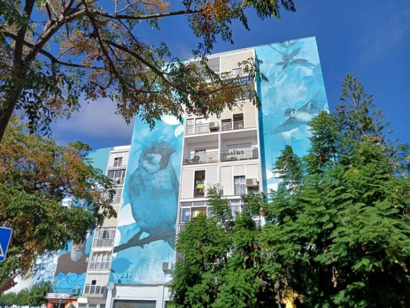 Estepona Art Murals and Tapas Walk with Local Guide - Discovering Estepona’s Murals and Heritage