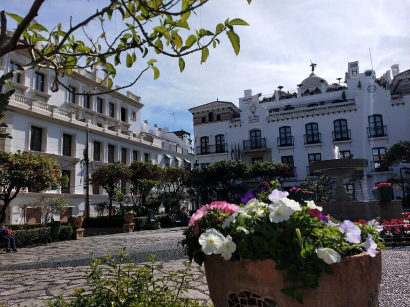 Estepona Art Murals and Tapas Walk with Local Guide - Who This Tour is Best For