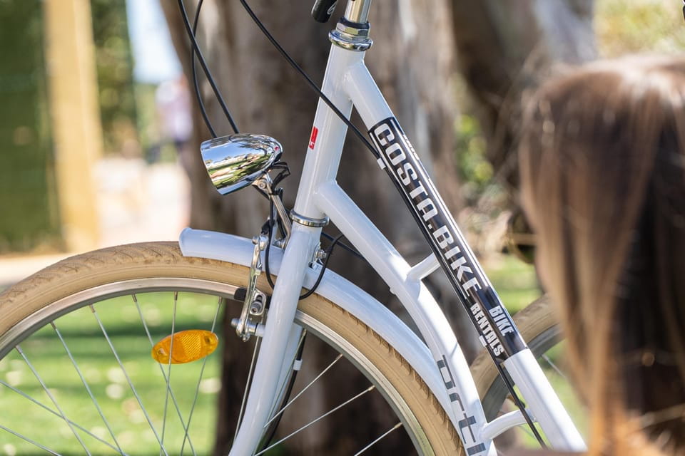 Estepona Best Kept Secrets: City Bike Guided Tour - Key Points