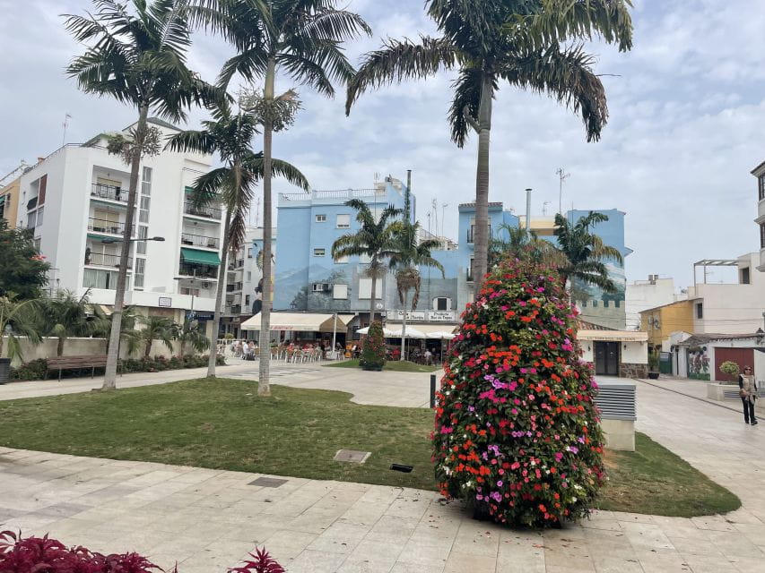 Estepona Bike Tour - Key Points