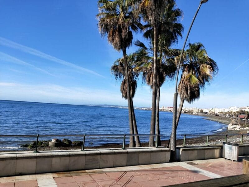 Estepona Walking Tour - City History, Culture & Gastronomy - Key Points / Takeaways