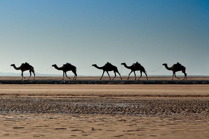 Ethiopian Tours To Danakil Depression & North With Omo Valley Tribes 15 Days - Reviews and Ratings