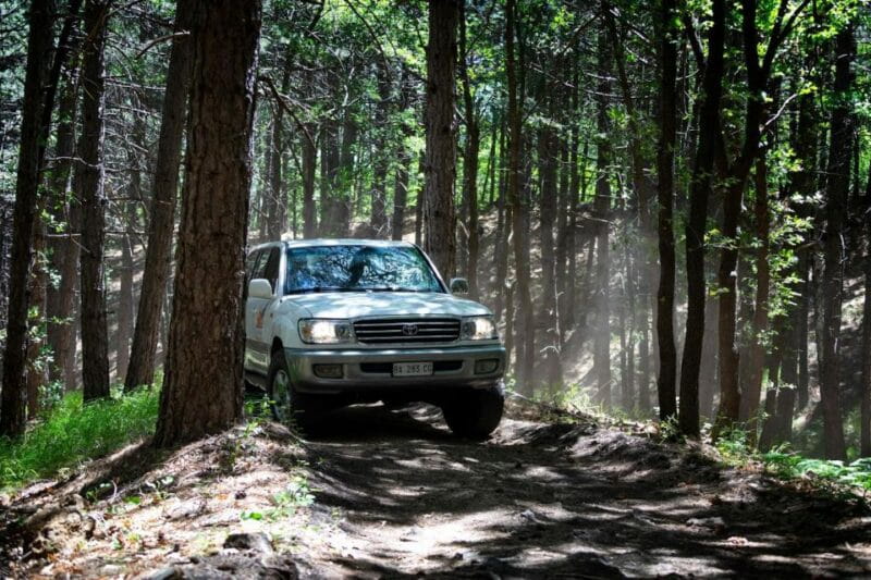 Etna 4x4 & Wine Tasting Tour - The Winery Experience: Savoring Volcanic Wines