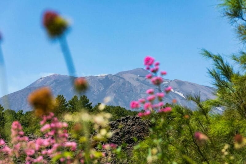 Etna 4x4 & Wine Tasting Tour - Final Thoughts