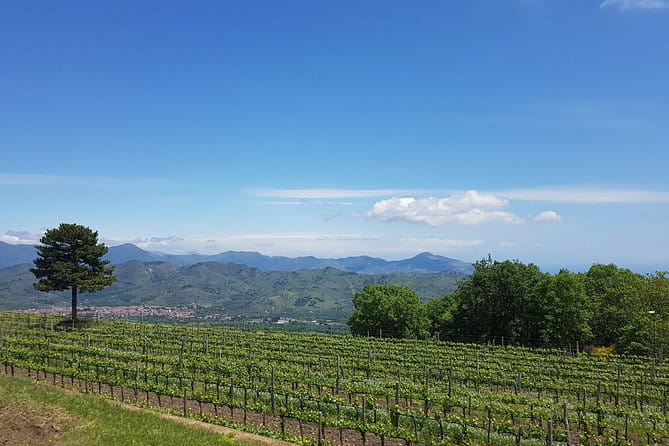 Etna Classic & Winery (day trip) - Private Transportation: Comfort and Flexibility