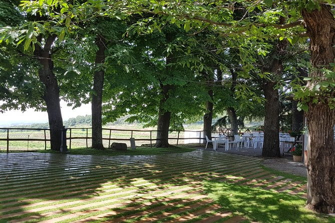 Etna Classic & Winery (day trip) - Price and Logistics: How It Adds Up