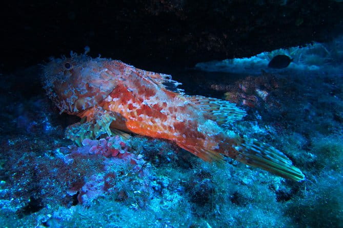 Etna & Diving Jeep Tour - Introduction: A Full-Day Adventure in Sicily’s Natural Wonders