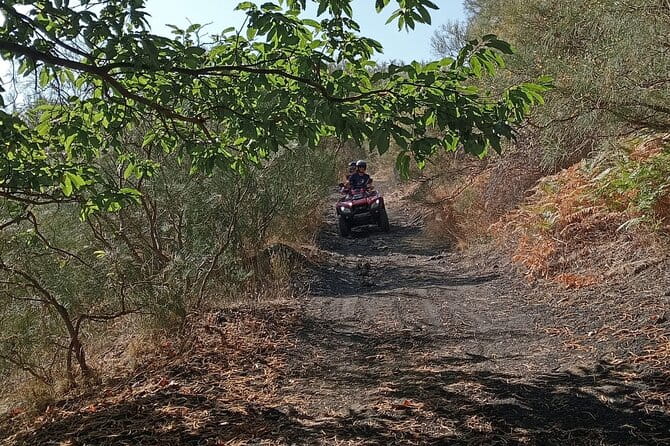 Etna Easy Tour - The Experience and What You Can Expect