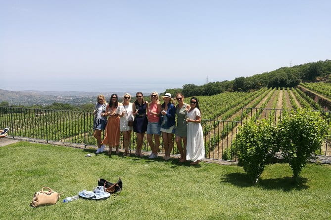 Etna Excursion and Lunch - Wine Tasting in Etna DOC Vinery - Exploring Mount Etna: A Closer Look