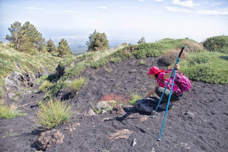 Etna Family Tour: private excursion on Etna mt. for families - Final Thoughts: Is the Etna Family Tour Worth It?