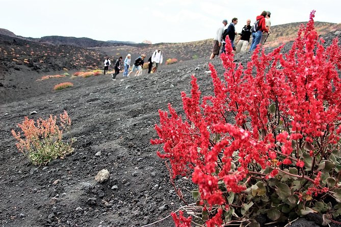 Etna Morning Trip - Exploring a Lava Cave