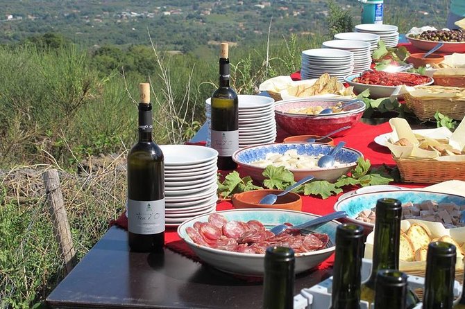 Etna Private Tour From Messina Cruise Terminal + Lunch at Winery - Additional Information