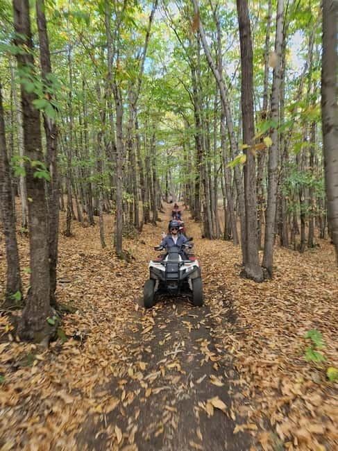 Etna Quad 2-hour tour with lava flow cave visit - Why This Tour Offers Great Value