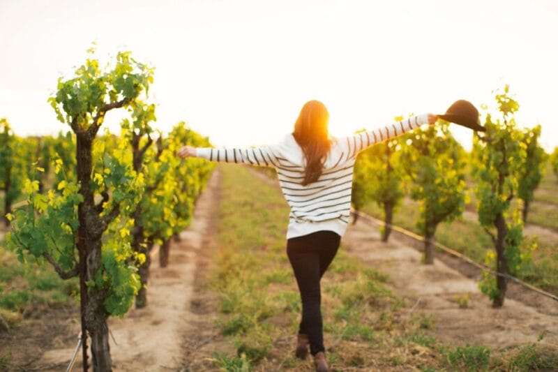 Etna Quad & Wine Combo Private Tour - Key Points / Takeaways