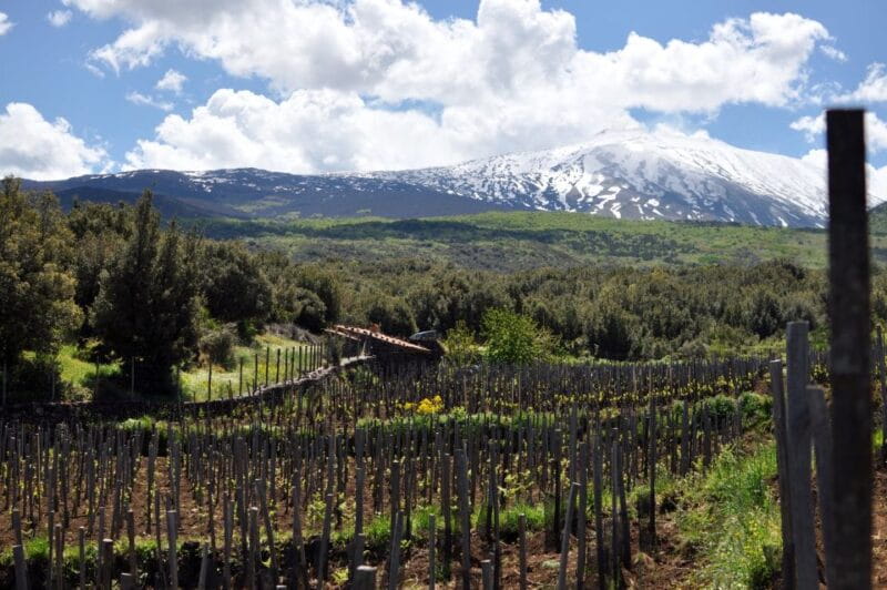 Etna Quad & Wine Combo Private Tour - Price and Logistics